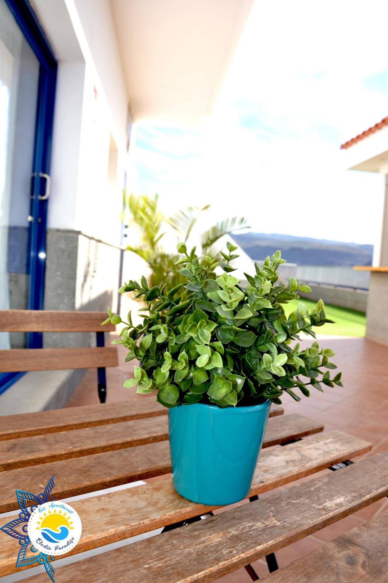Kos Apartment - Elodie Paradise Mogán Exteriér fotografie